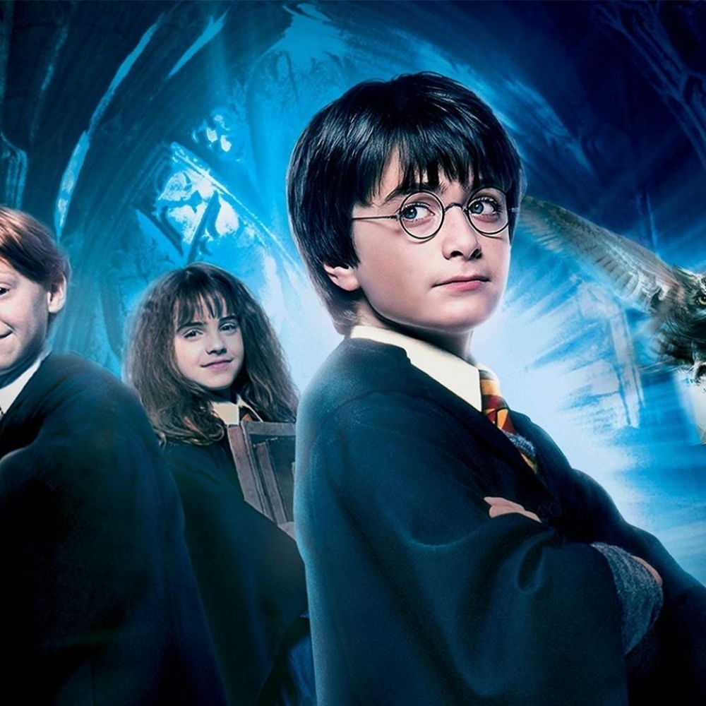 Puma Palermo - Harry Potter Slytherin
